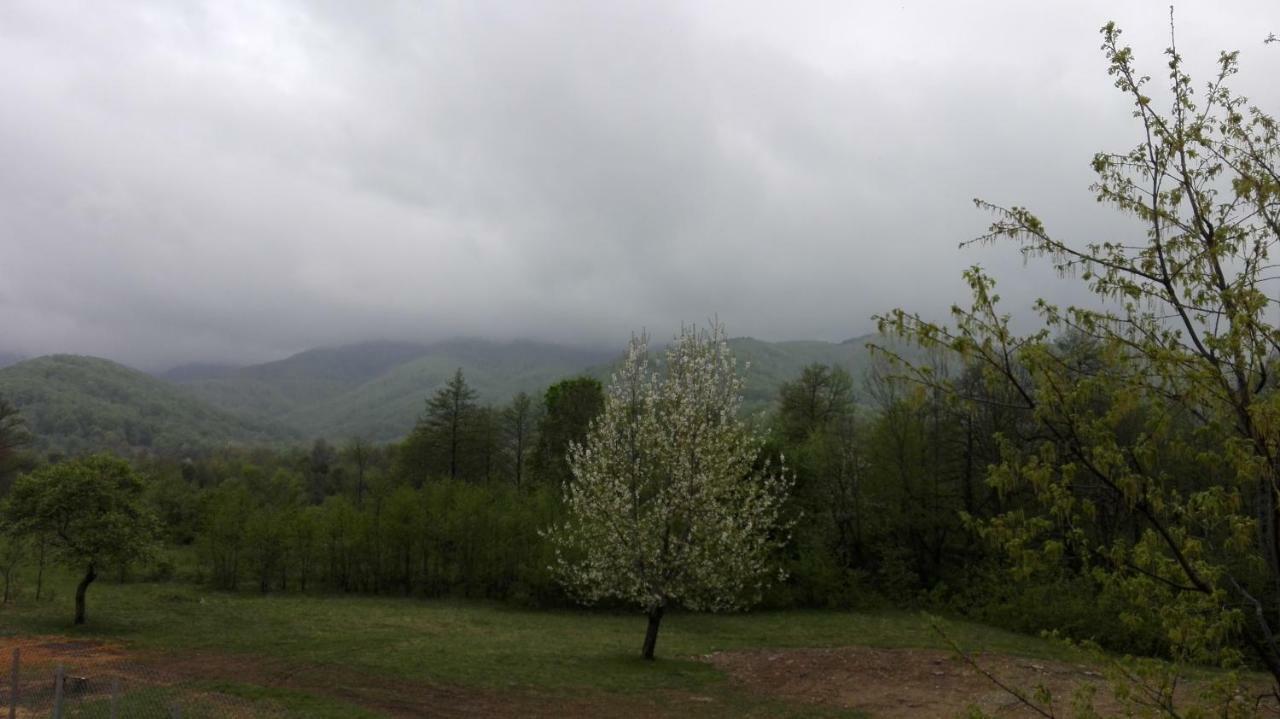 Комплекс Тянкови Къщи Vurșeț Exterior foto